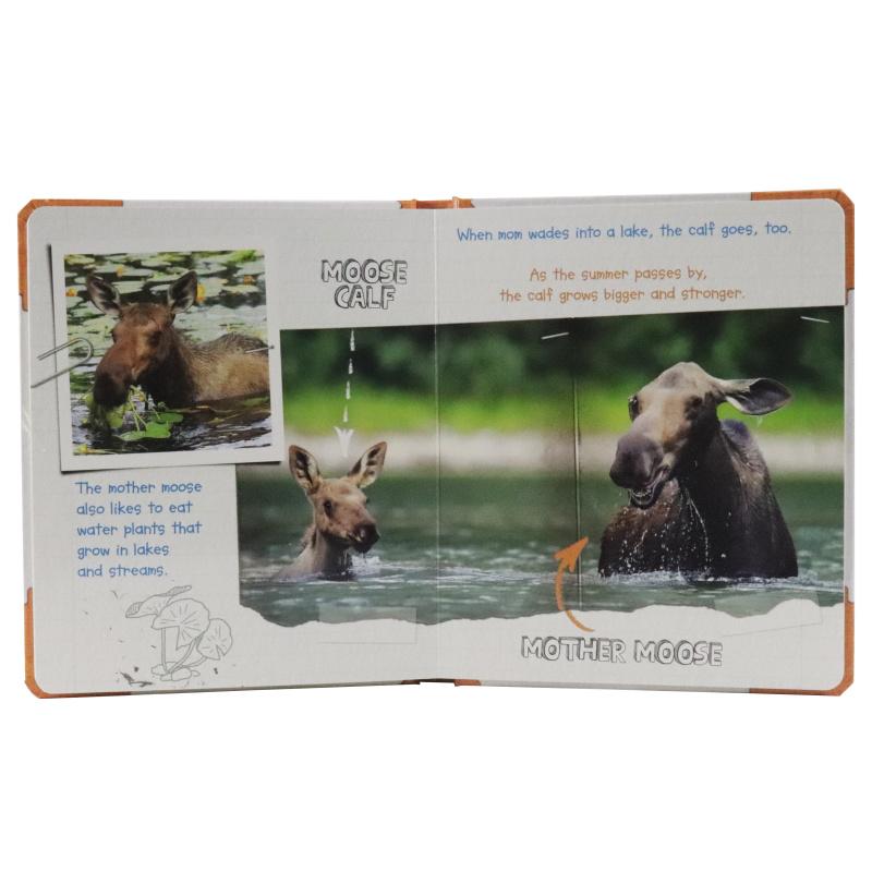 Sách ngoại văn: Active Minds Explorers - Meet Baby Moose