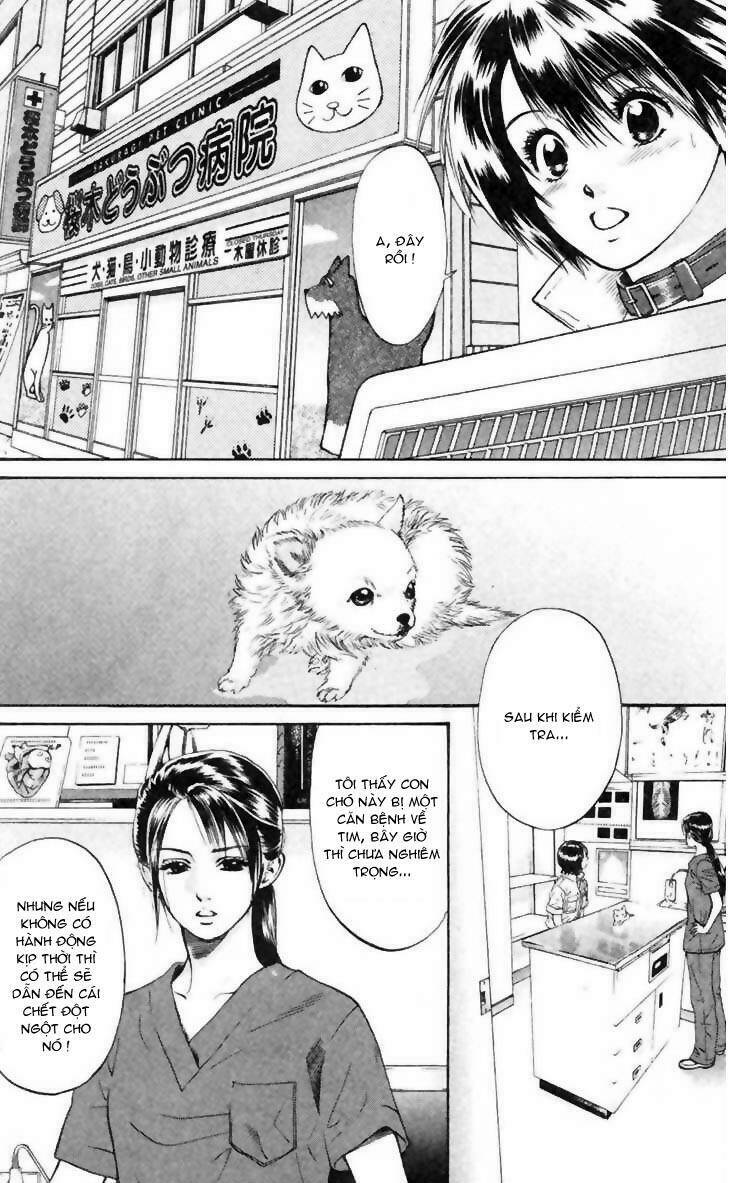 cô nàng yêu chó chapter 6 3