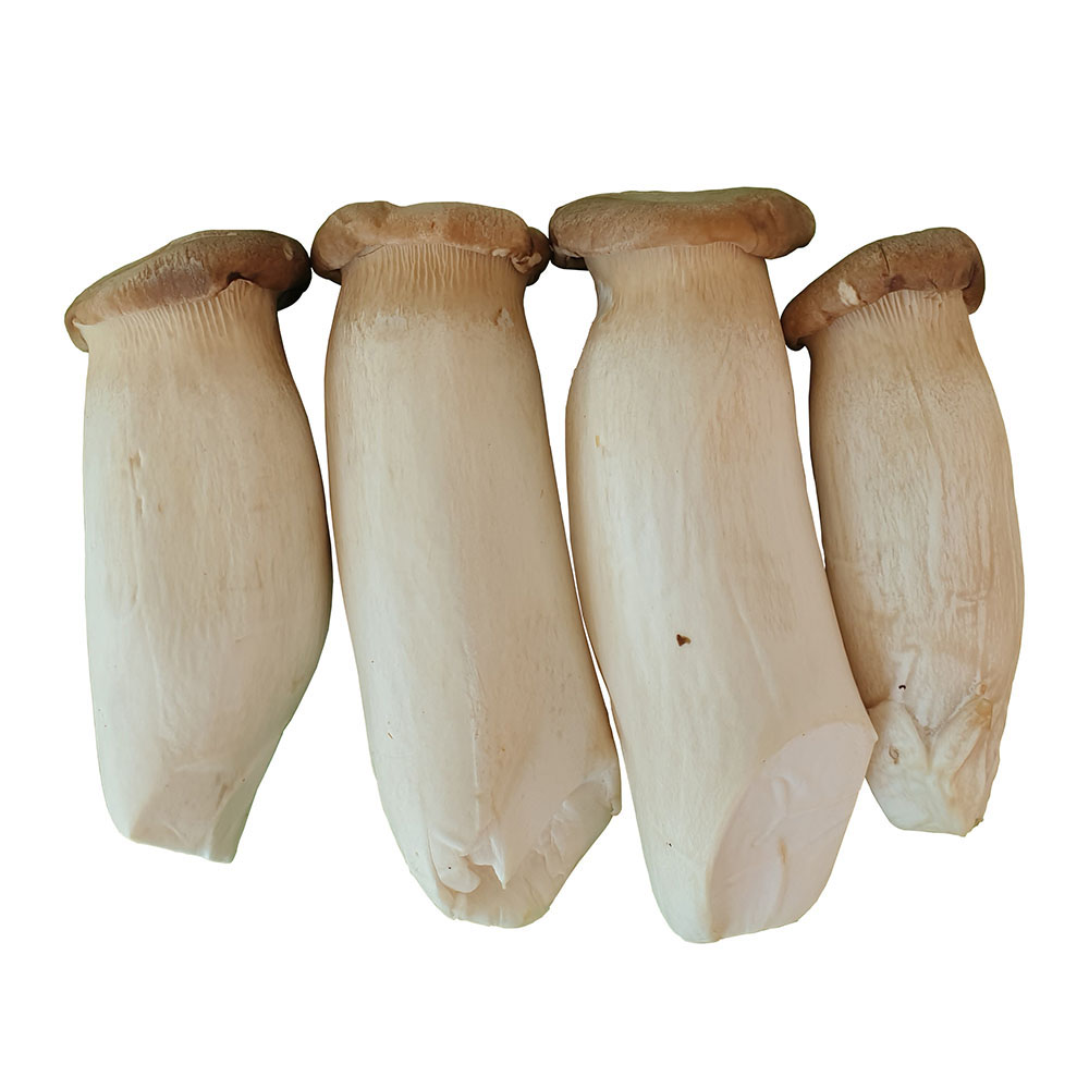 Nấm Đùi Gà 100gr Ngon Sạch - Nông Trại Nấm Xanh