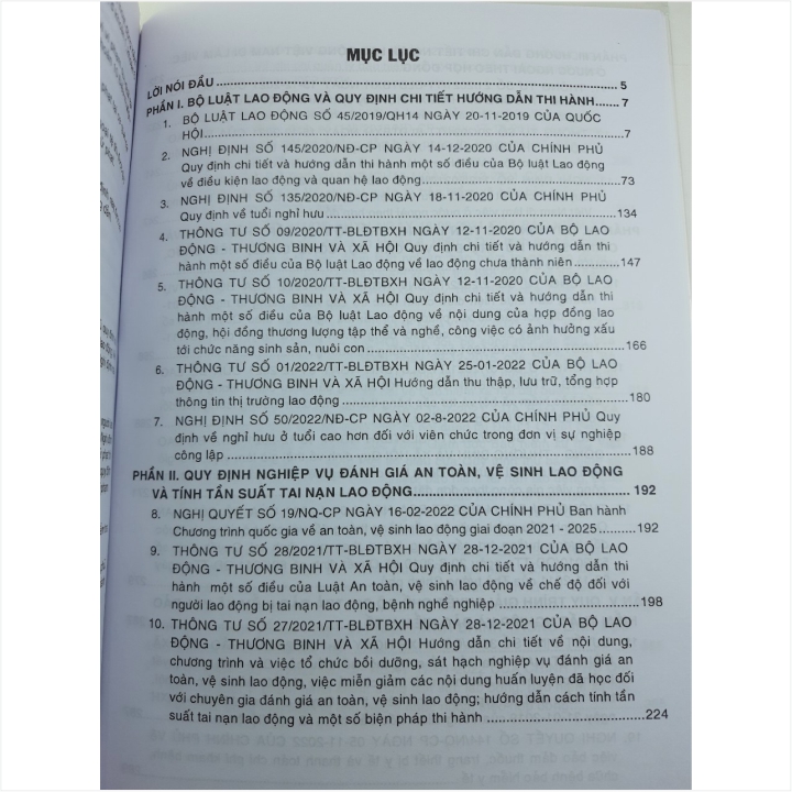 Sách Bộ Luật Lao Động và Quy Định Chi Tiết Hướng Dẫn Thi Hành - V2089P