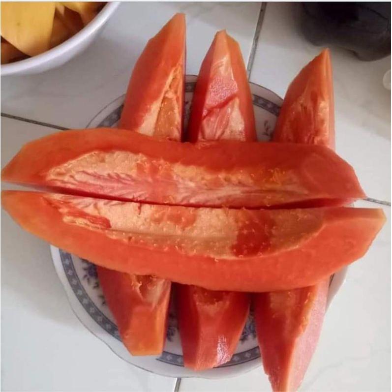 20 Hạt giống đu đủ lùn F1 Trang Nông