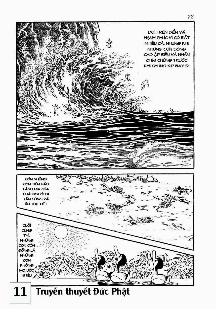 buddha - truyền thuyết đức phật chapter 51 7