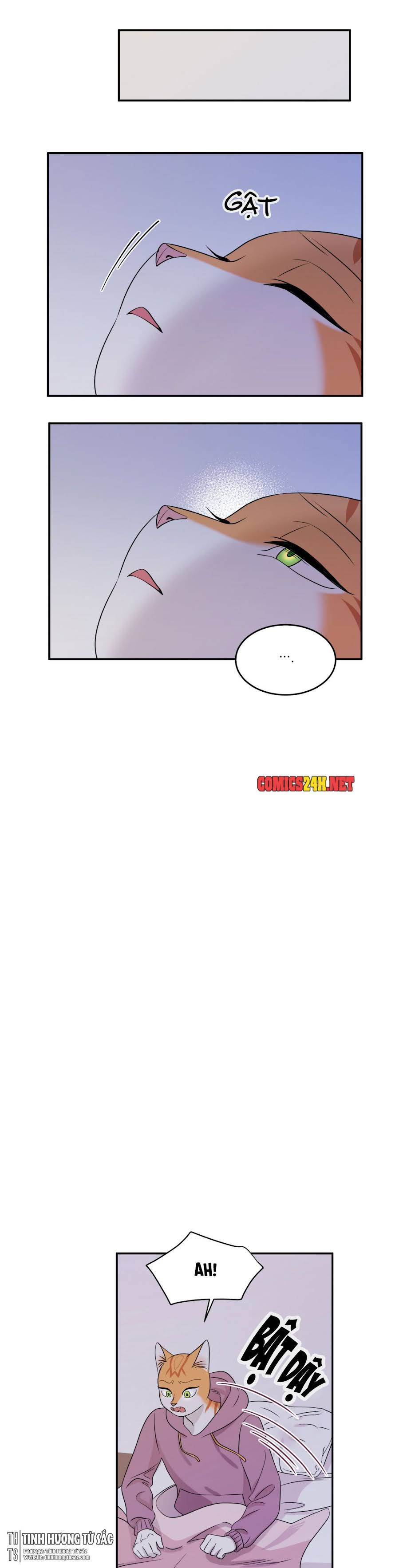 dự án xanh chapter 14 15