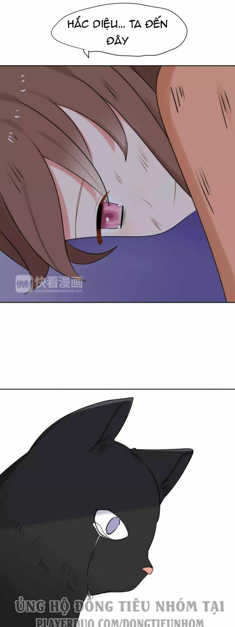 tiểu miêu và hắc diệu thạch chapter 27 11