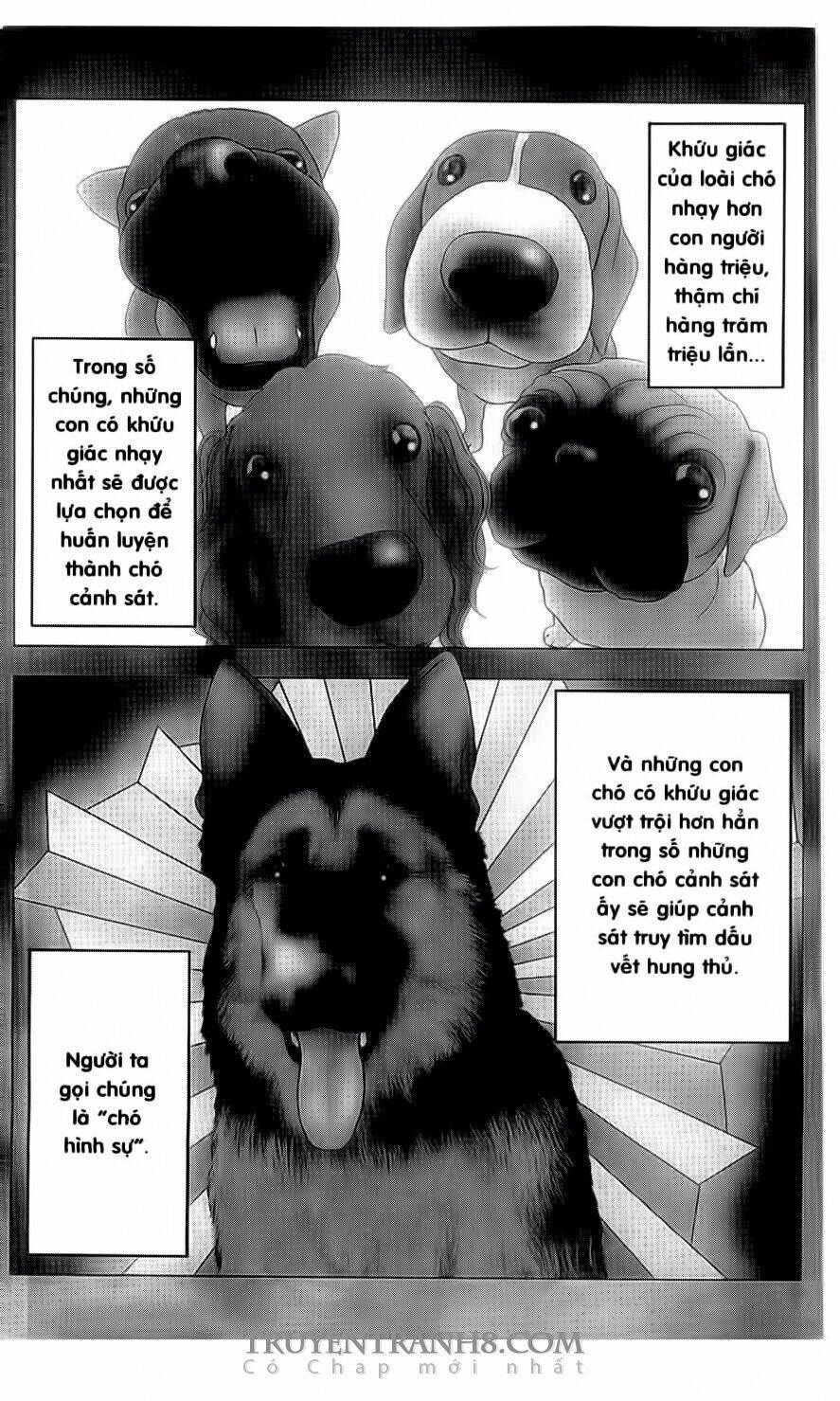nữ thanh tra cún con chapter 1 2
