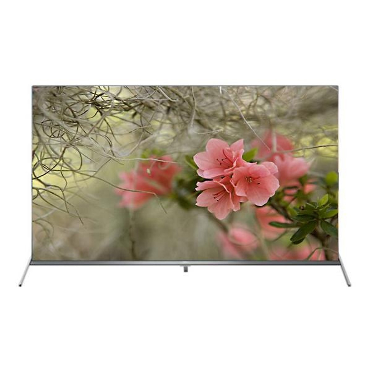 Android Tivi TCL 4K 65 Inch 65P8S - Hàng chính hãng