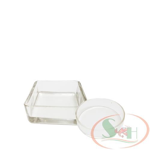 Chén Tép Thủy Tinh Hình Tròn, Vuông Đựng Thức Ăn Cho Cá Tép