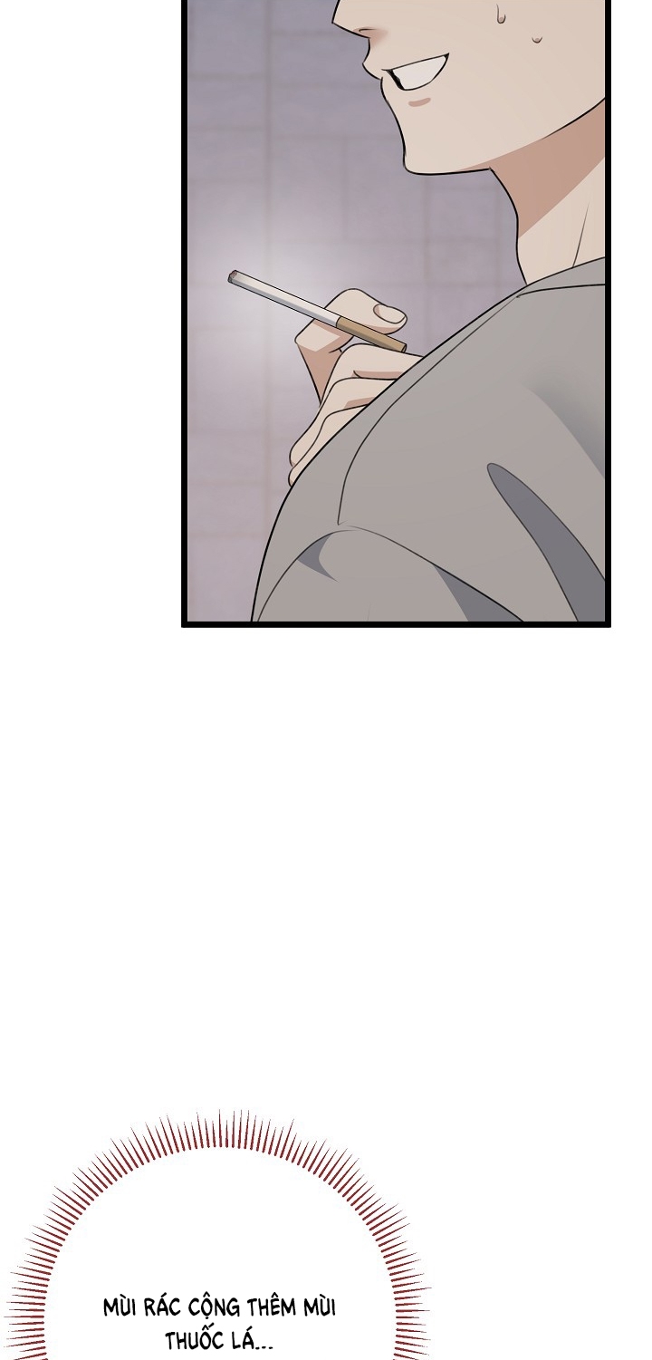 say nắng chapter 39.2 12