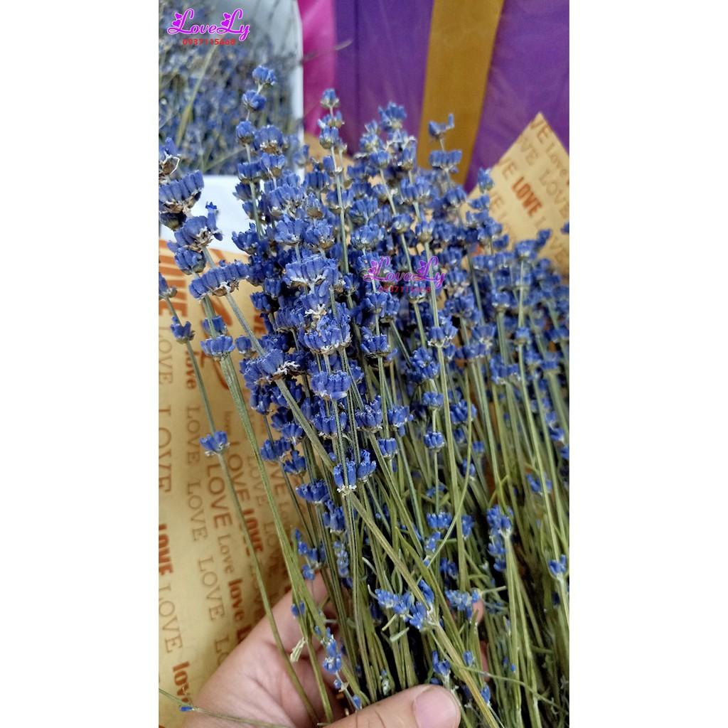 Bó hoa oải hương Lavender khô nhập Pháp 200 cành Tặng Túi Thơm Nụ Hoa Lavender