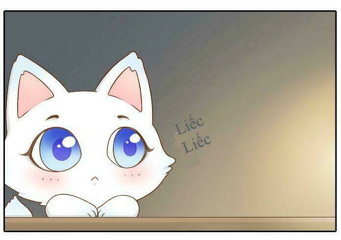 tiểu hồ ly vs tiểu hóa thượng chapter 5 12