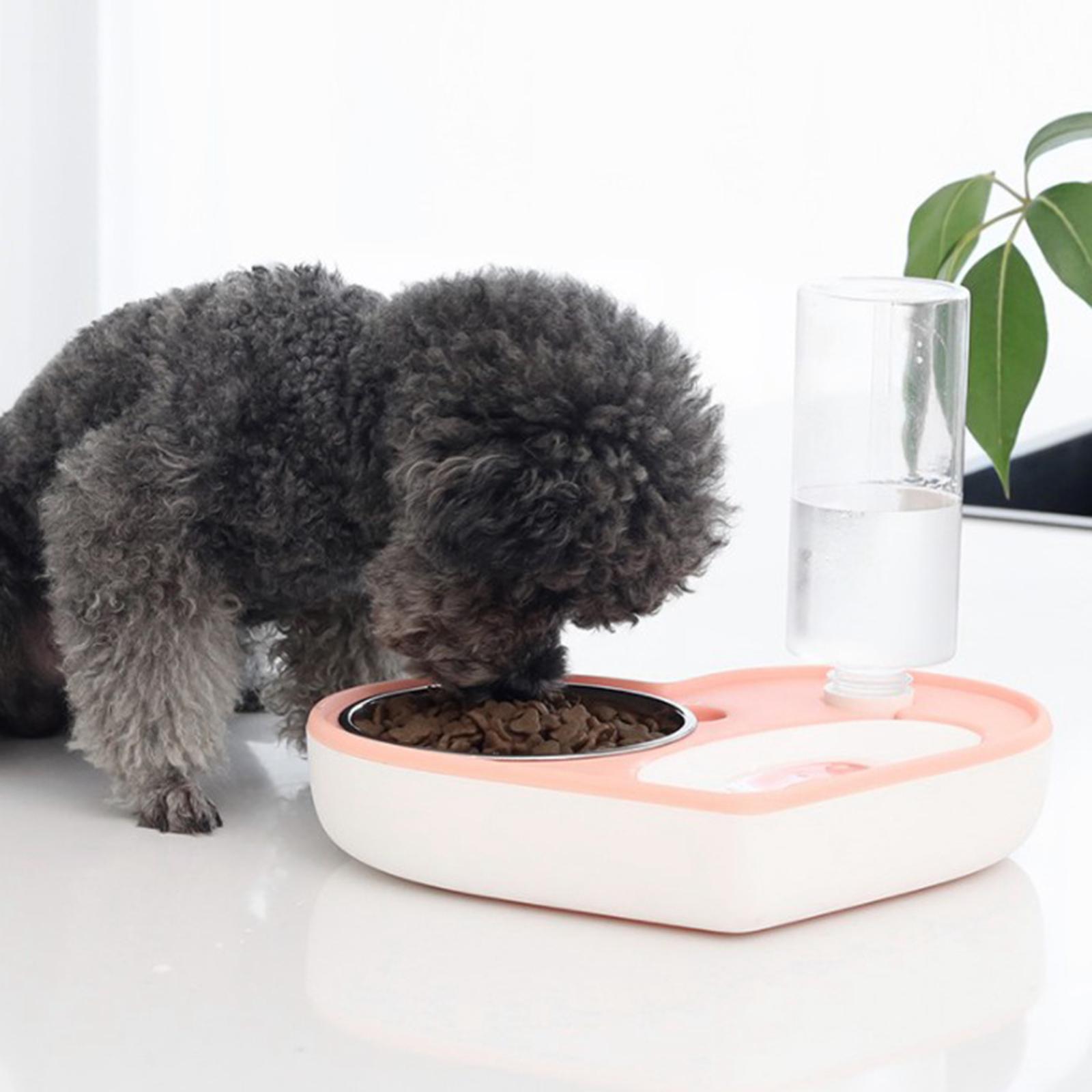 Automatic Pet Cat Dog Food and Water Bowl Set Water Food Dispenser