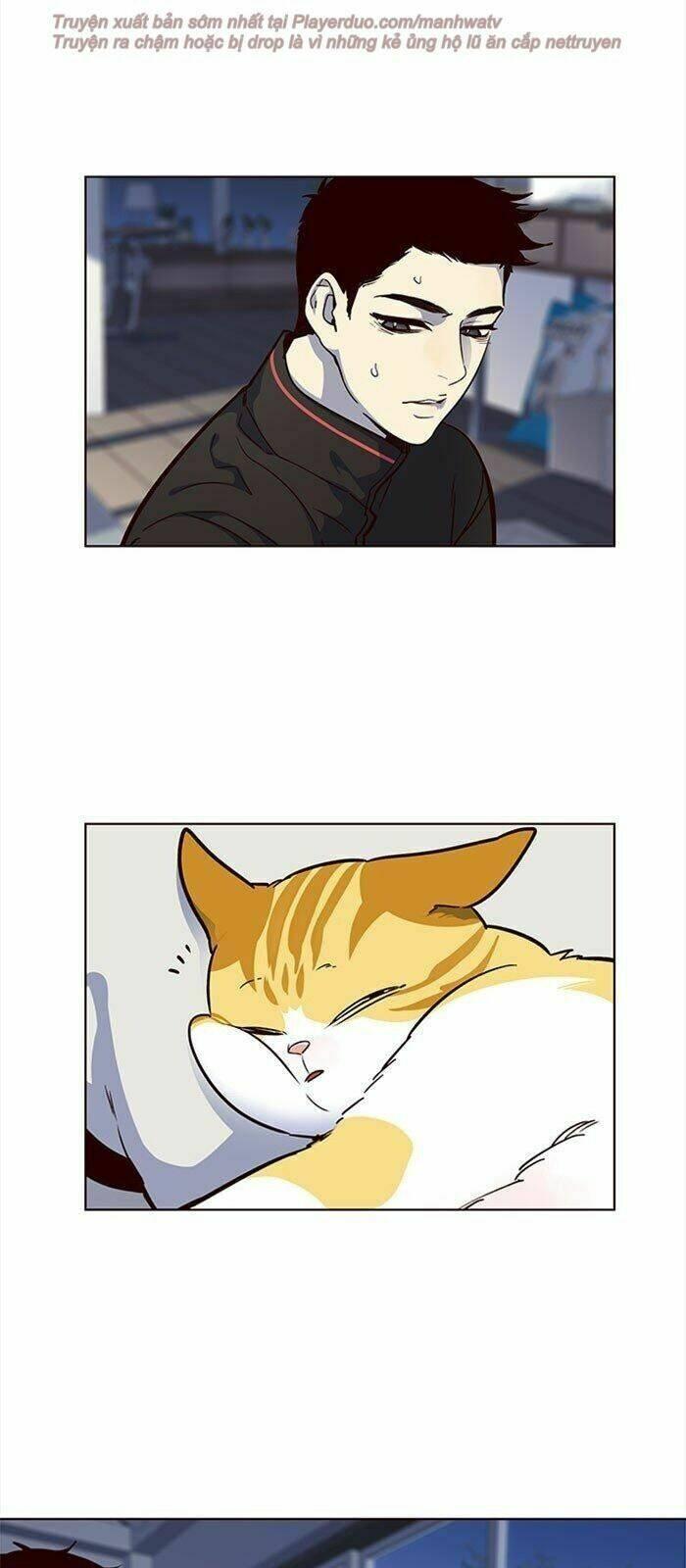 biến thân thành mèo chapter 36 56