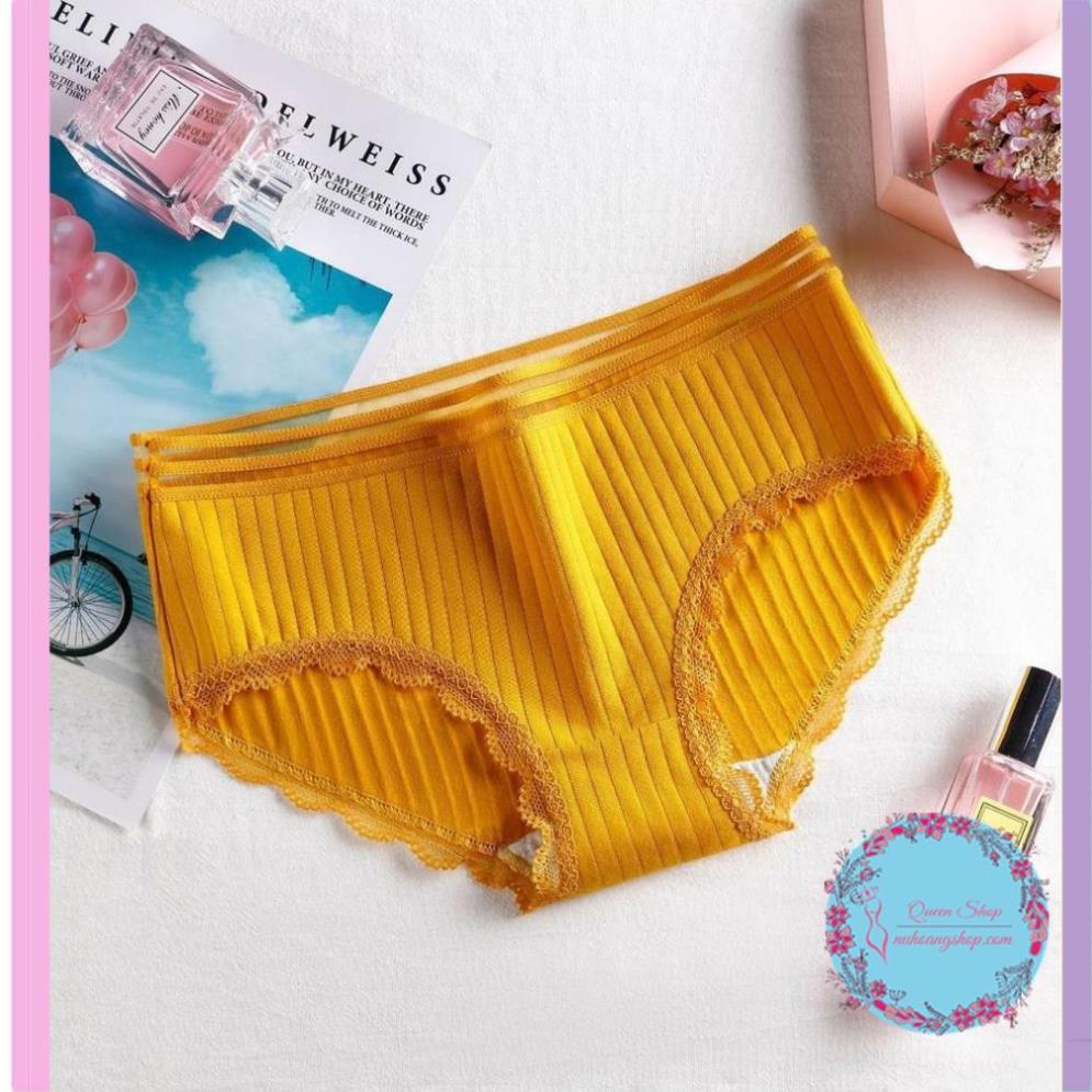 Quần Lót Cotton Tăm Cạp Viền Cao Cấp Quần lót nữ cotton co dãn mềm mịn DL108