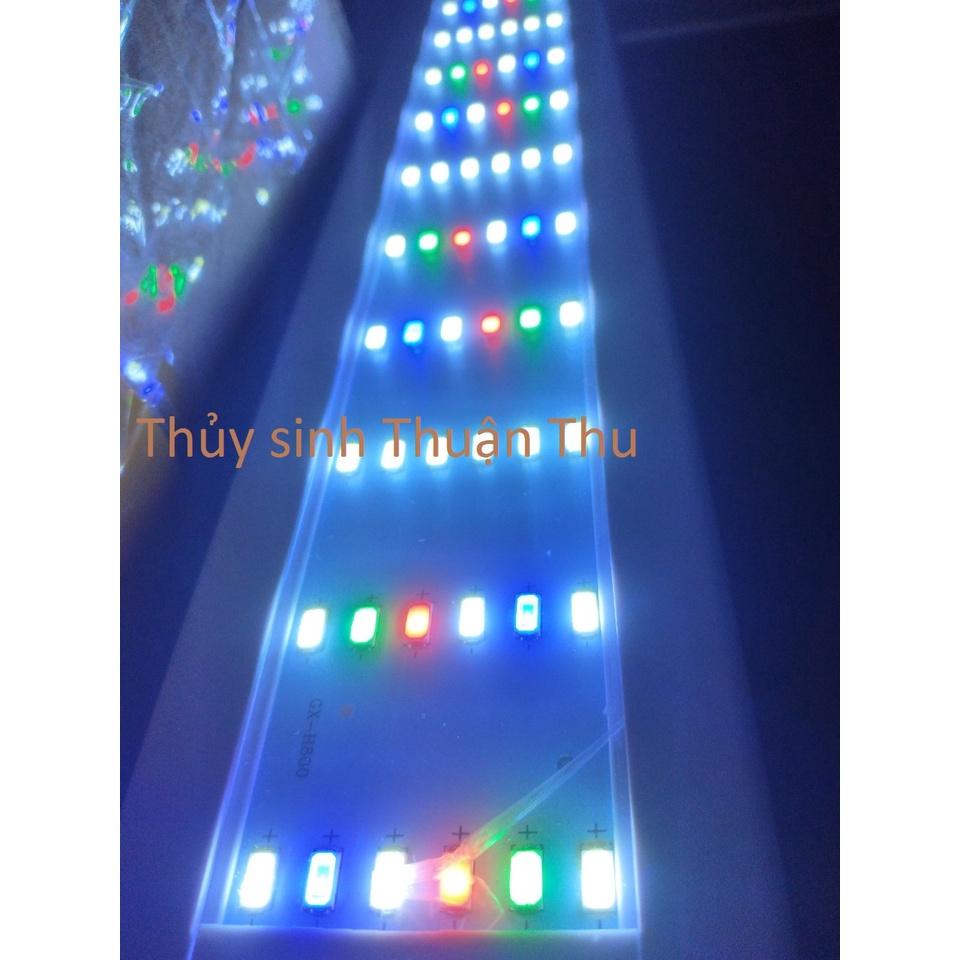 Đèn led WRGB 6 hàng siêu sáng thế hệ mới - đèn led thuỷ sinh các size