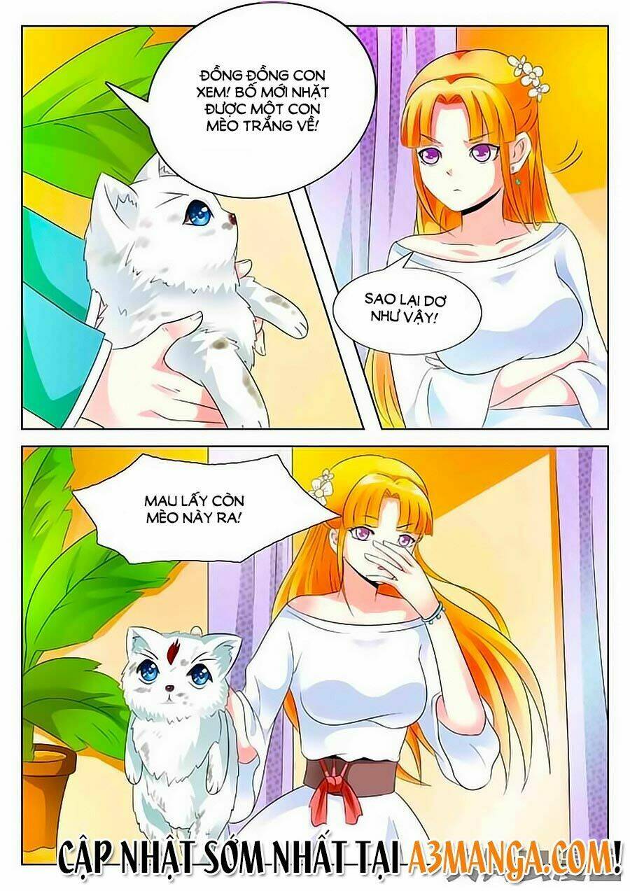 mau lấy con mèo đó ra chapter 1 14