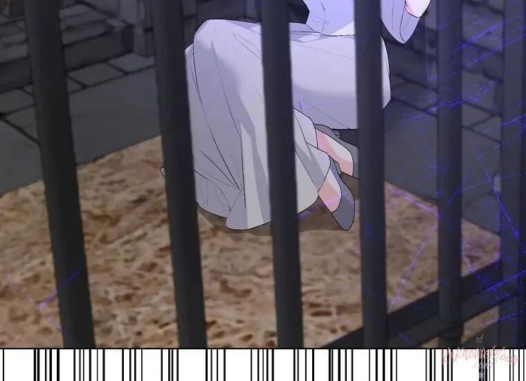 là nhân vật phản diện nhưng tôi sẽ trở thành nữ chính chapter 117 24