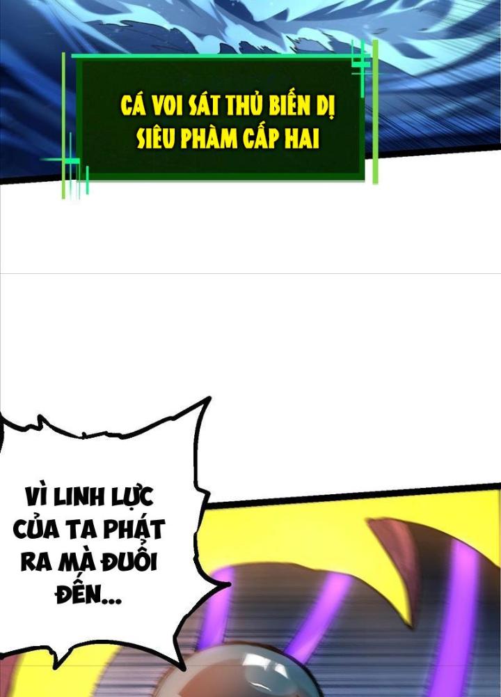 từ cây cổ thụ bắt đầu tiến hóa chapter 96 16