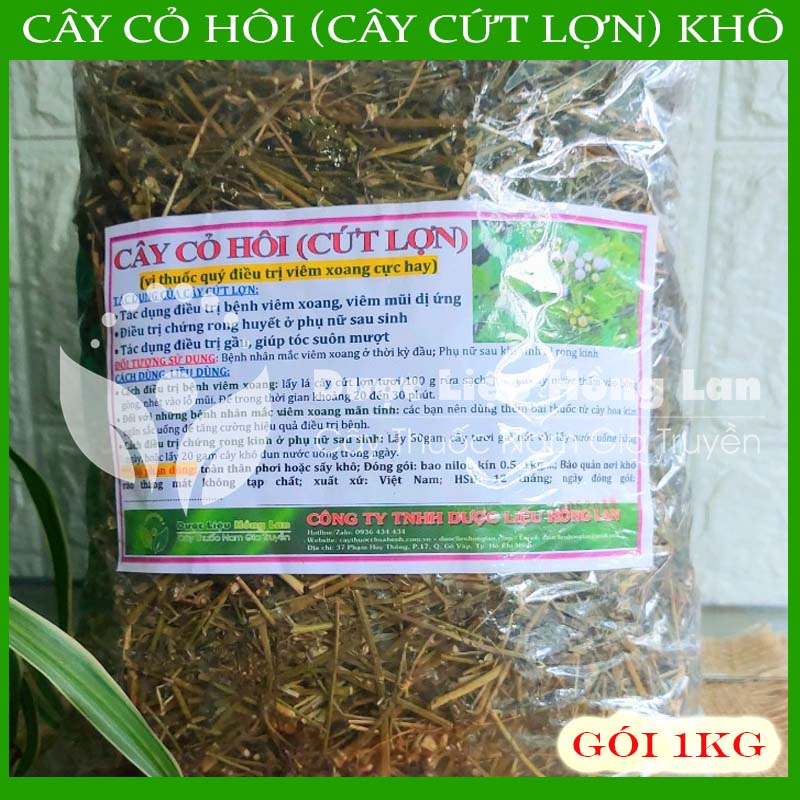 Cây Cỏ Hôi (Cây Cứt Lợn) khô 1kg