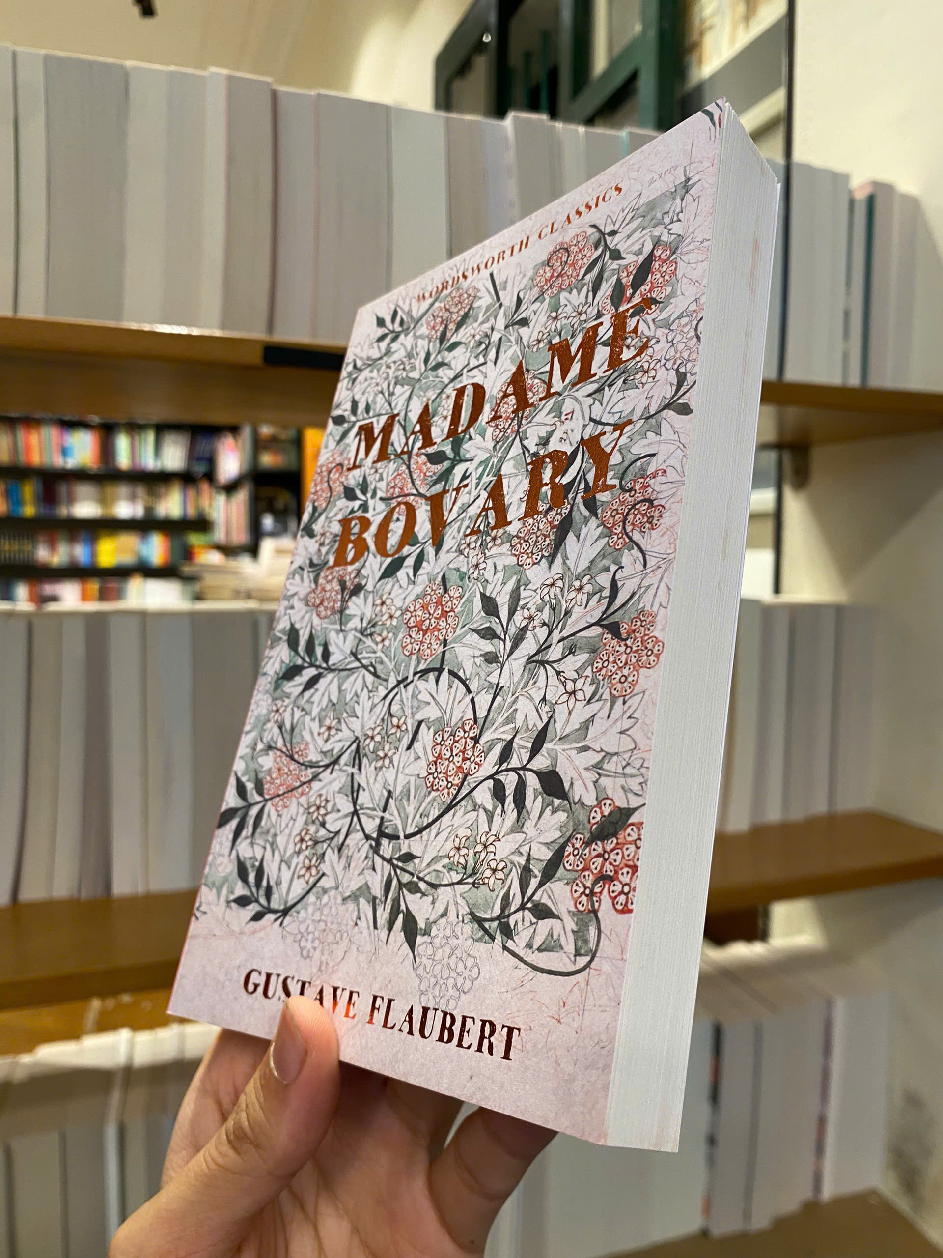 Sách - Madame Bovary (Wordsworth Classics) by Gustave Flaubert | English Book - French Literature