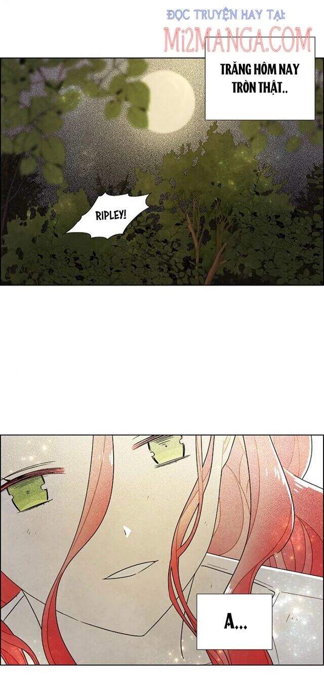 tôi đã cướp mất đêm đầu tiên của nam chính chapter 72.5 21