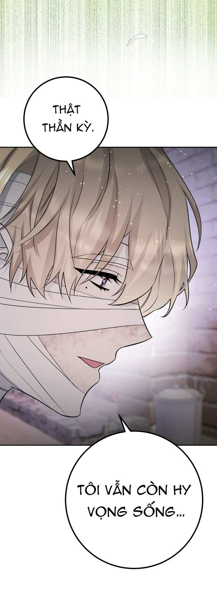 [18+] nếu cứu rỗi một cầm thú hư hỏng chapter 34.2 5