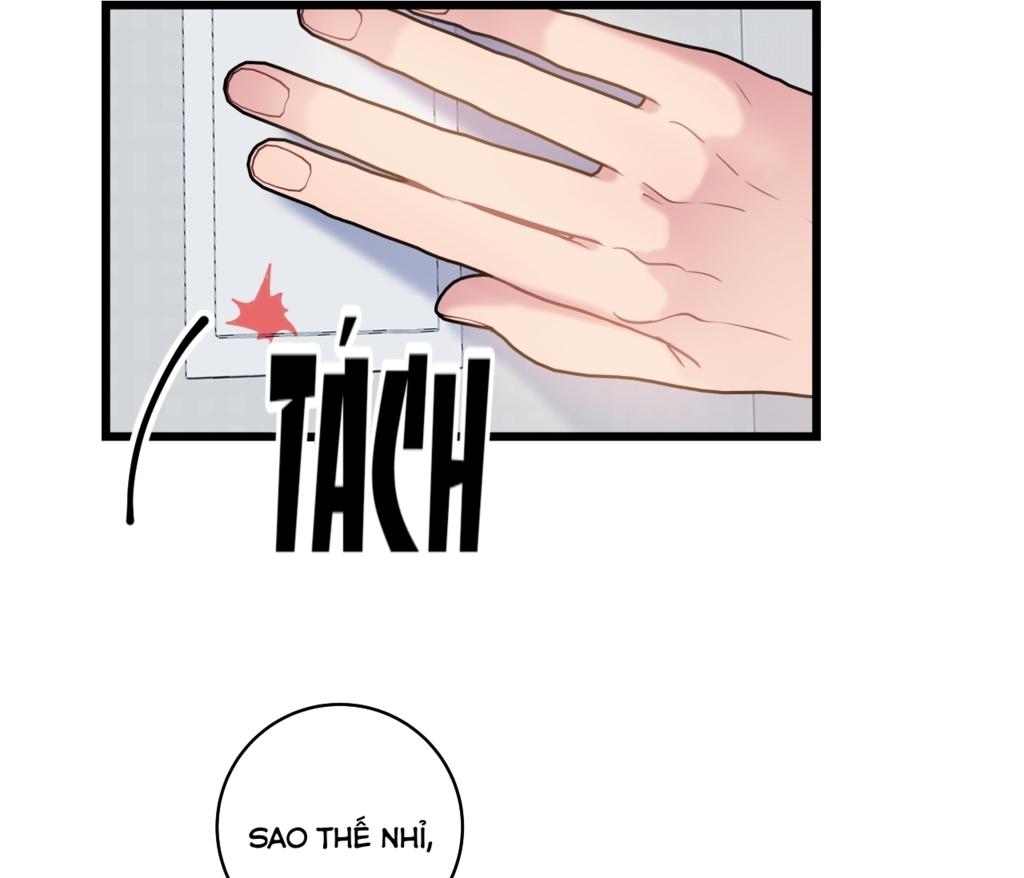 tình yêu bình dị nhất chapter 13 6