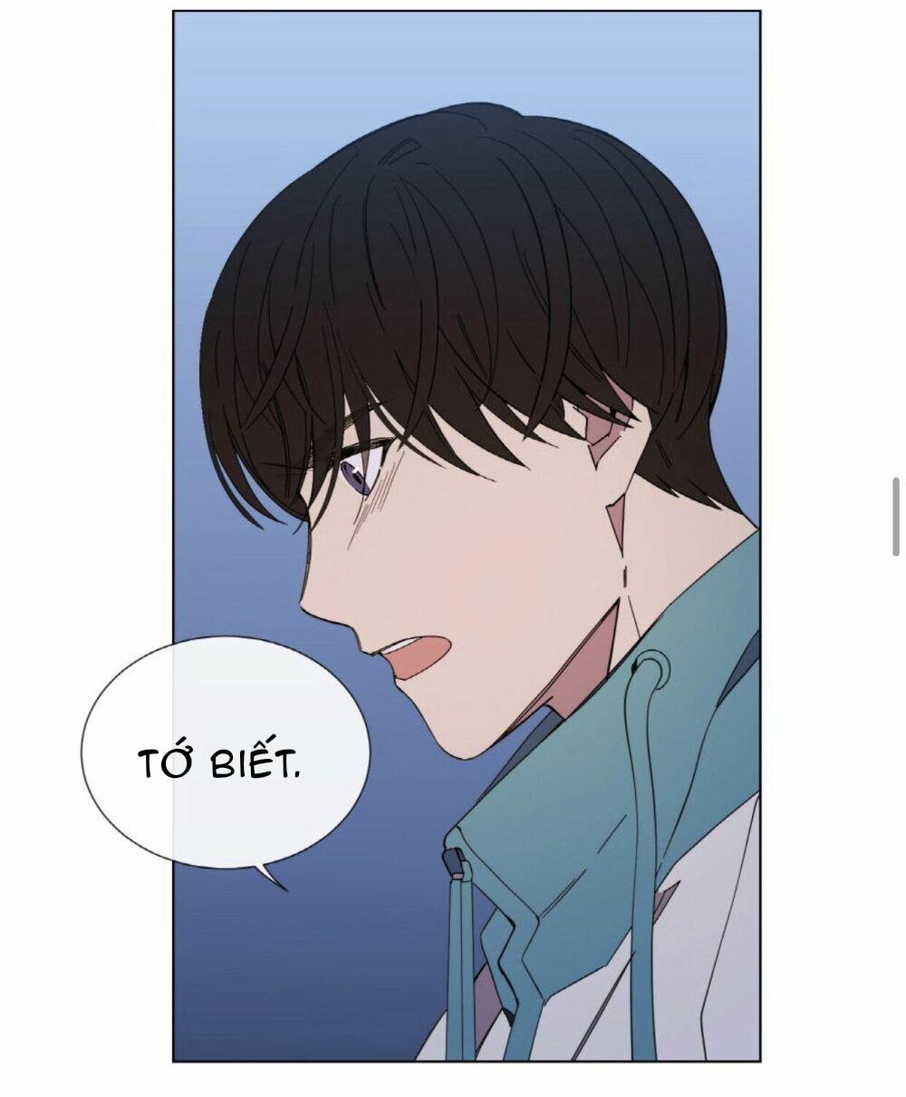 mr. miss chapter 11 19