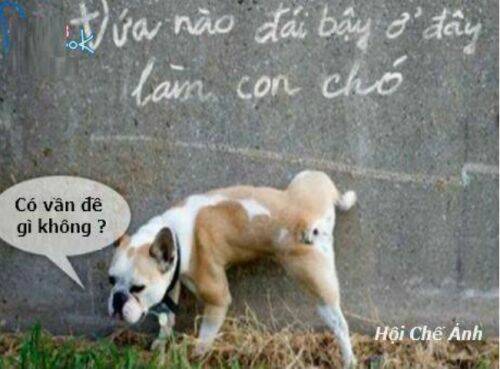 just troll chapter 6 12