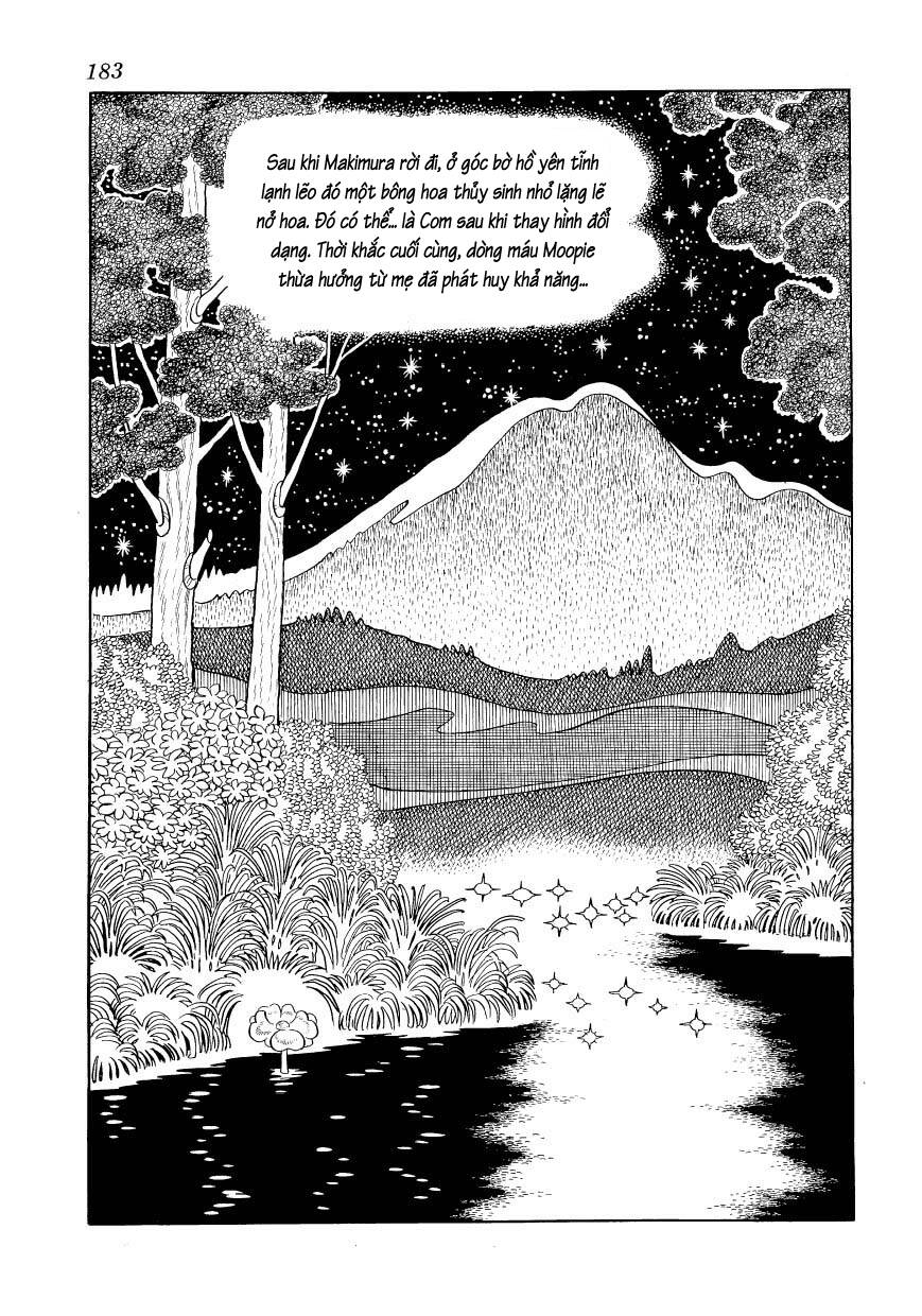 chim lửa chapter 76 13