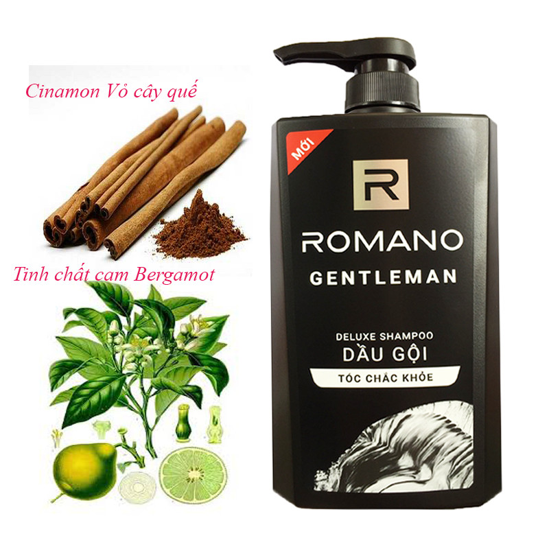 Dầu gội cho nam Romano Gentleman cho tóc chắc khỏe chai 650ml