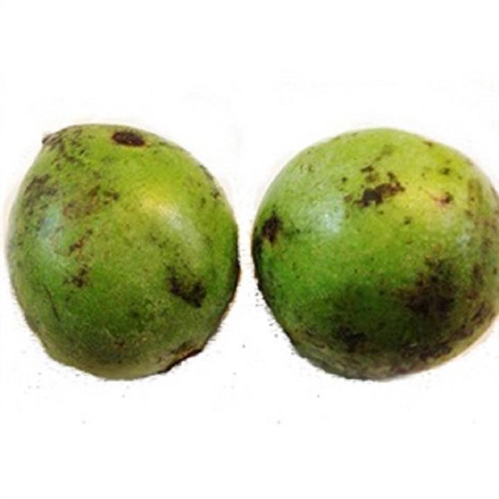 CÂY QUẢ DỌC NẤU CANH CHUA