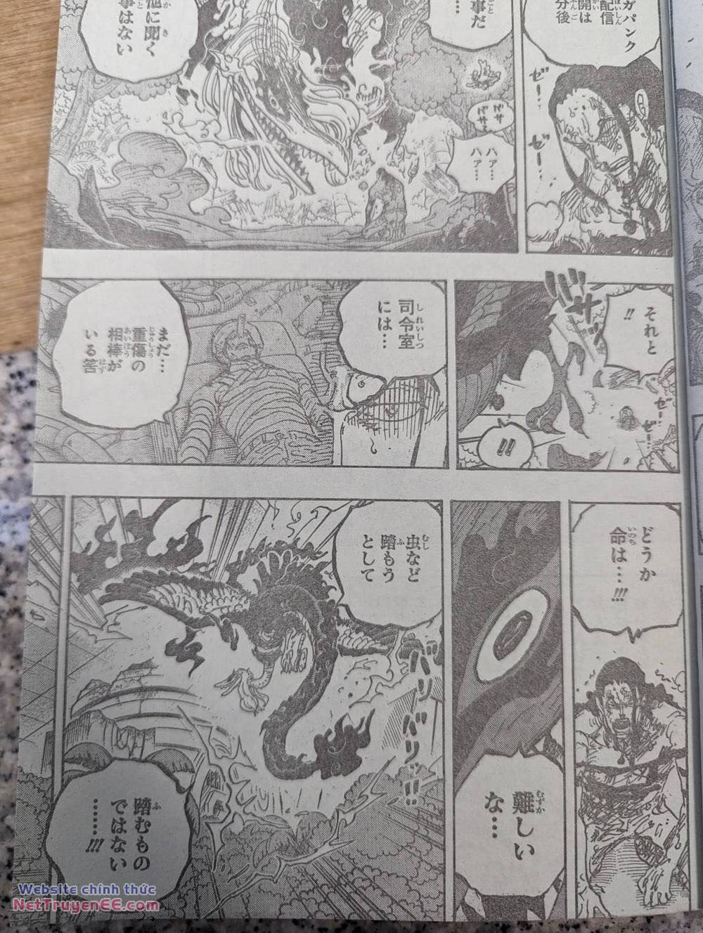 đảo hải tặc - one piece chapter 1111 8