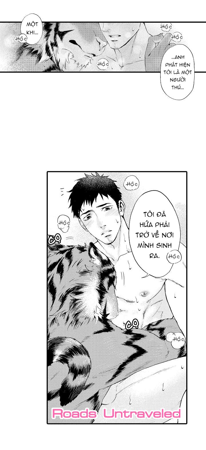 HỔ CÁI CỦA TAIGA chapter 2