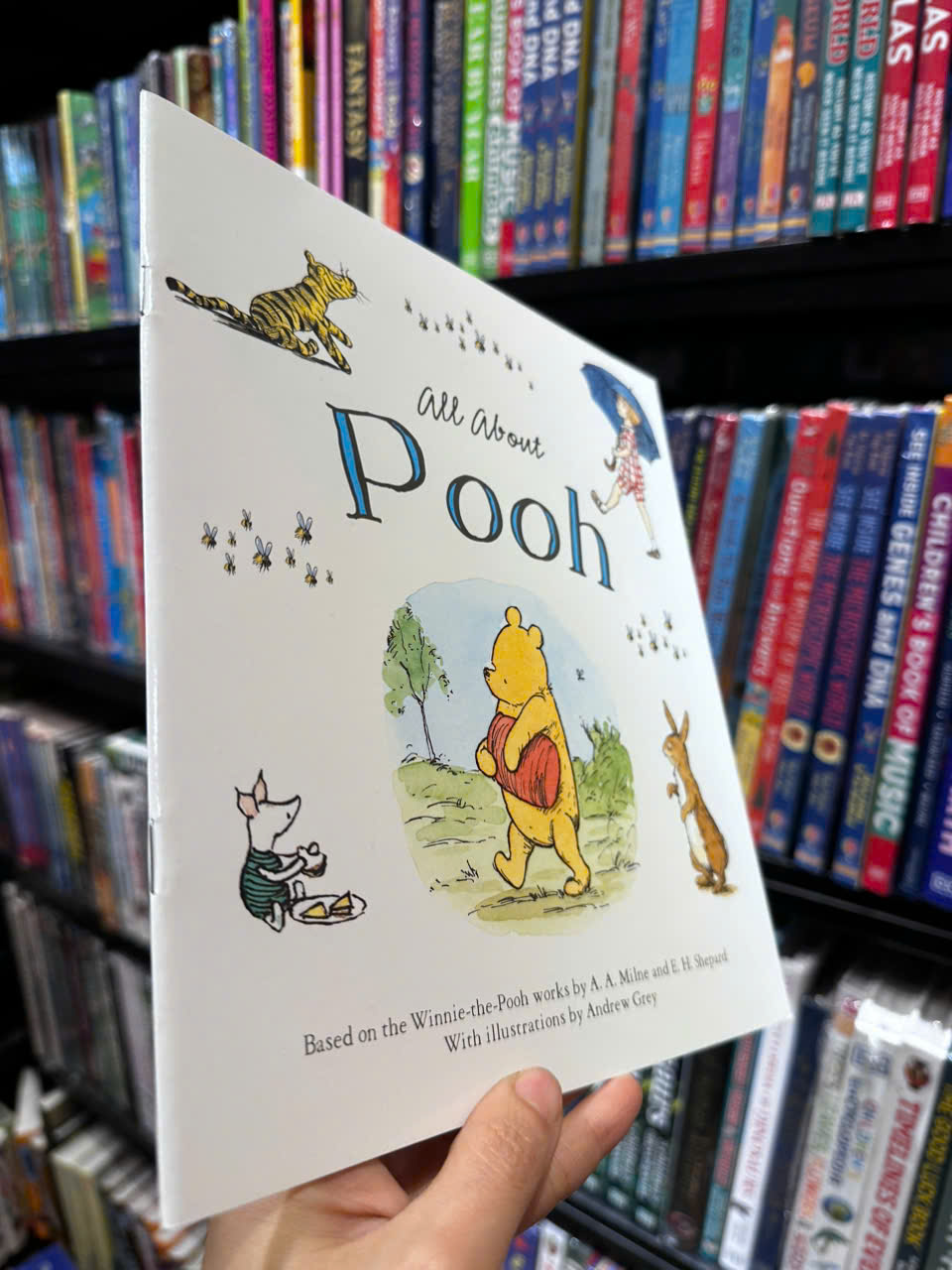 Sách - All About Pooh by A.A.Milne - Sách ngoại văn, sách thiếu nhi tiếng Anh, bìa mềm, nhập khẩu UK