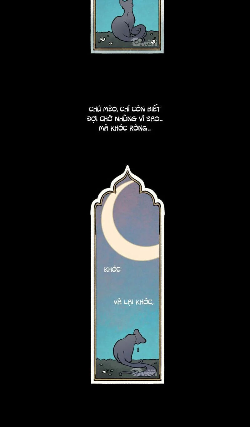 nơi mà ngôi sao băng rơi xuống, hãy đợi ở đó chapter 3 44