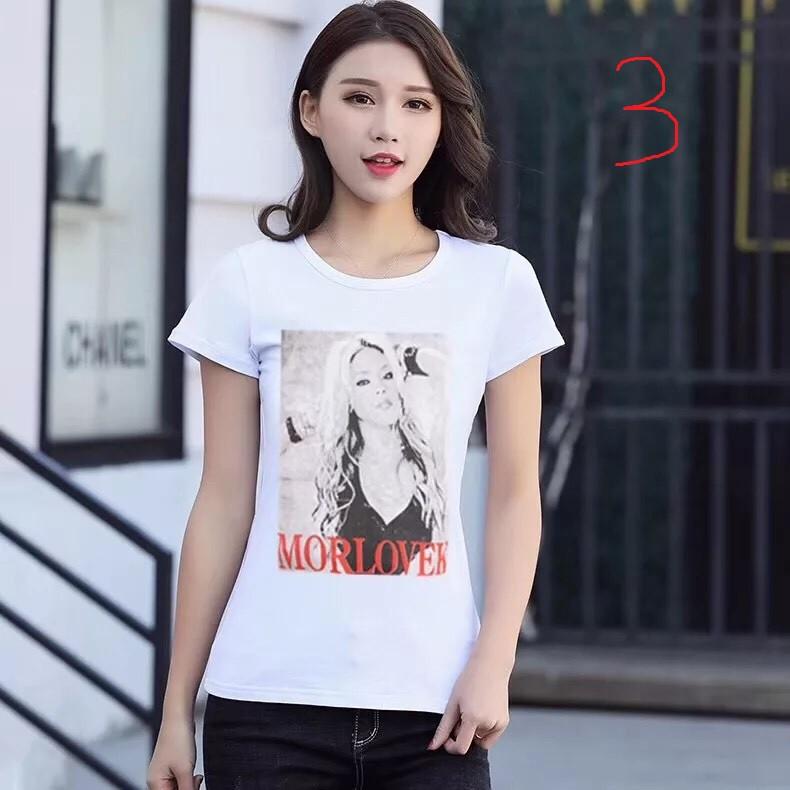 (Xả kho) Áo phông nữ hàng cao câp Họa tiết Cute BLUECHHIC26