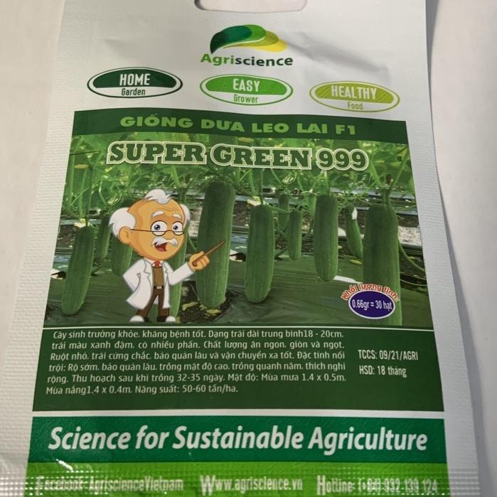 Hạt Giống Dưa Leo SUPER GREEN 999 -