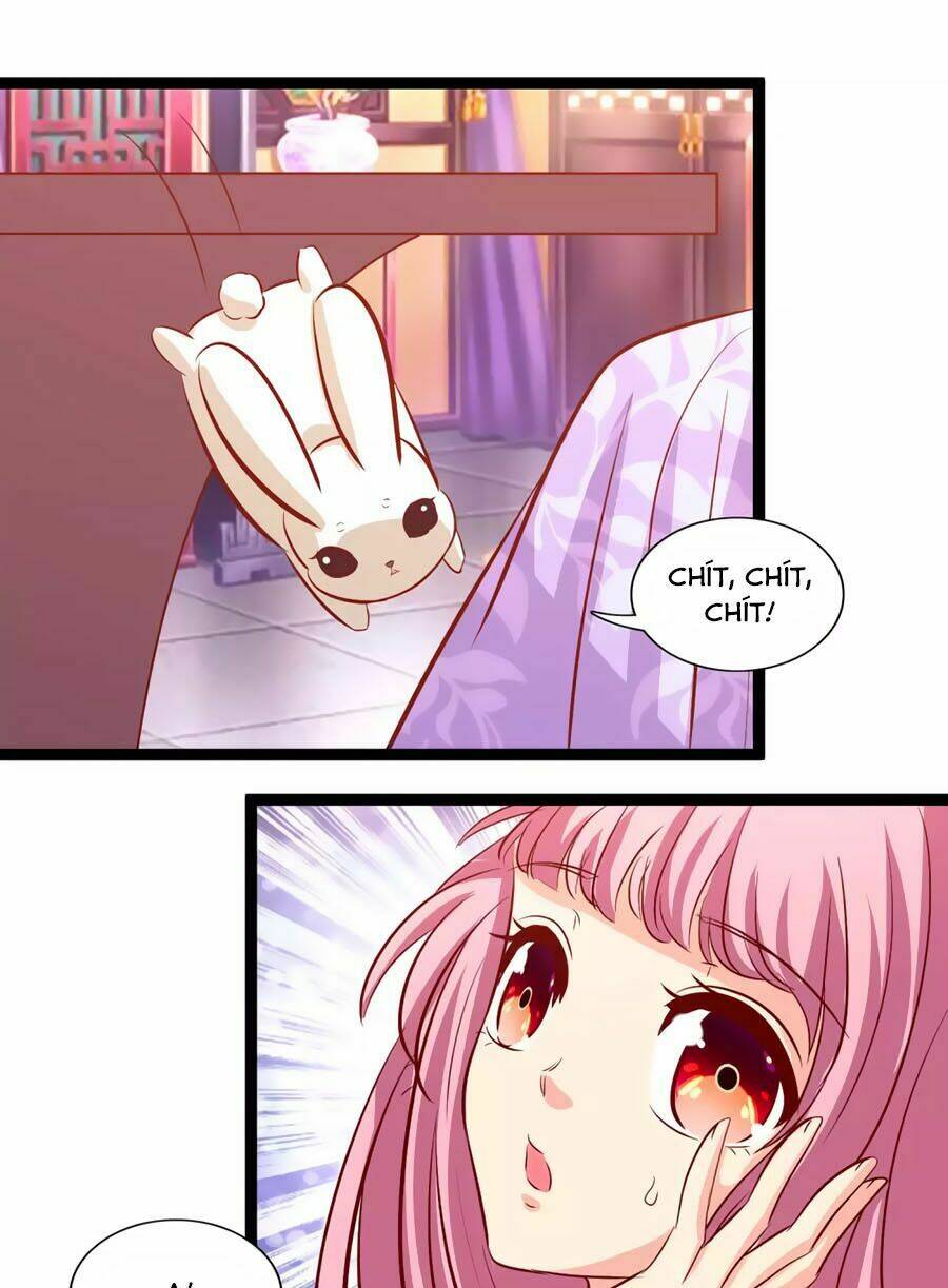 thỏ yêu tiểu vương phi chapter 110 12