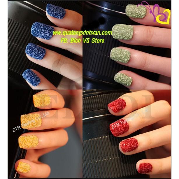 Set bi nail 12 màu