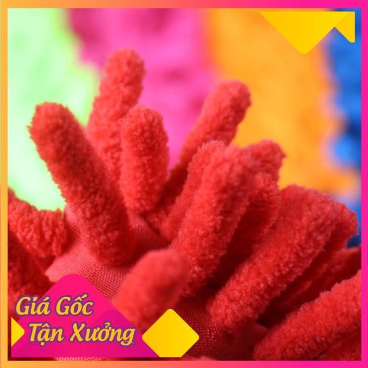 Cây Lau Bụi Mini San Hô Kéo Dài TP'S