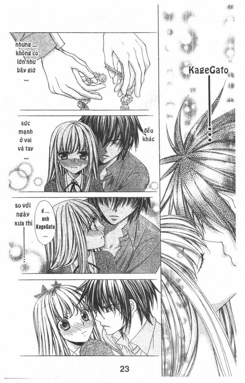 trái tim kim cương chapter 2 24