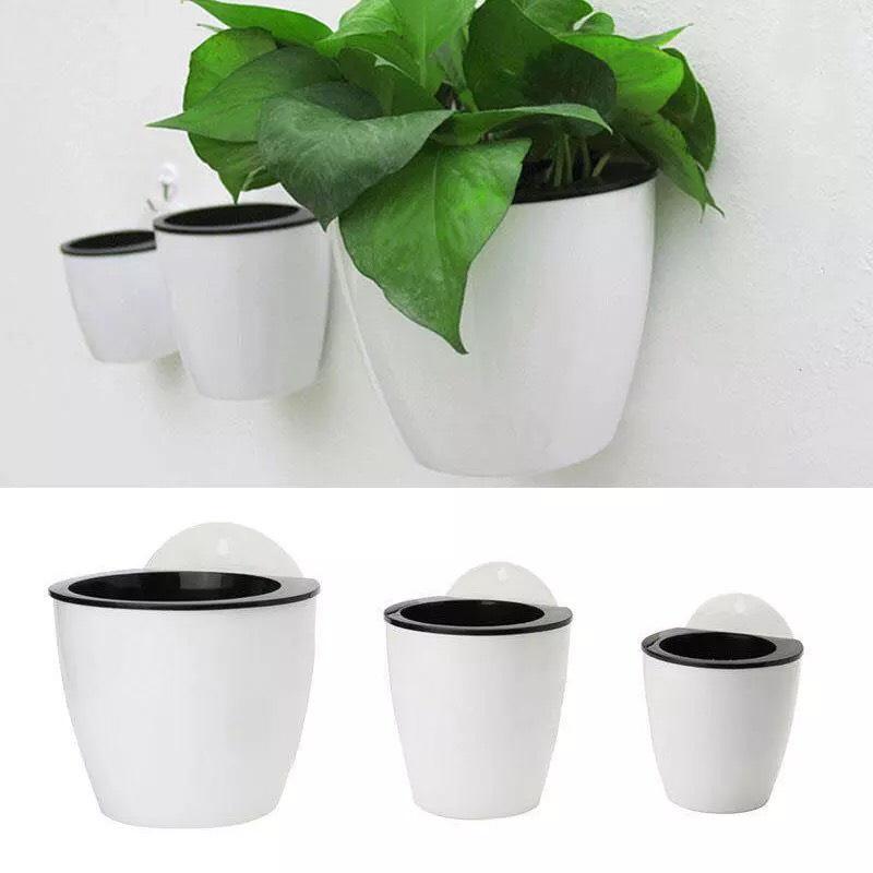 Chậu Cây Tự Tưới Nước Thông Minh Treo Ban Công SIZE 14x13cm