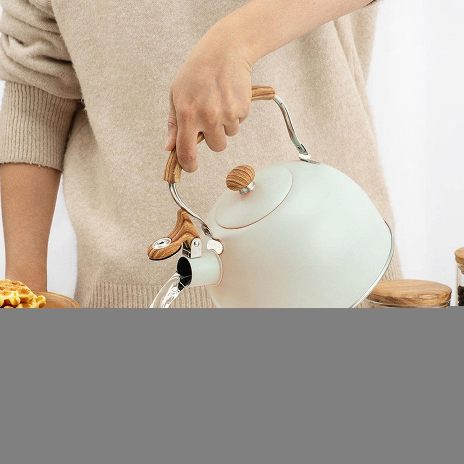 Ấm đun nước ngớ ngẩn, Khí ấm đun nước ấm bằng lụa 2.5L.