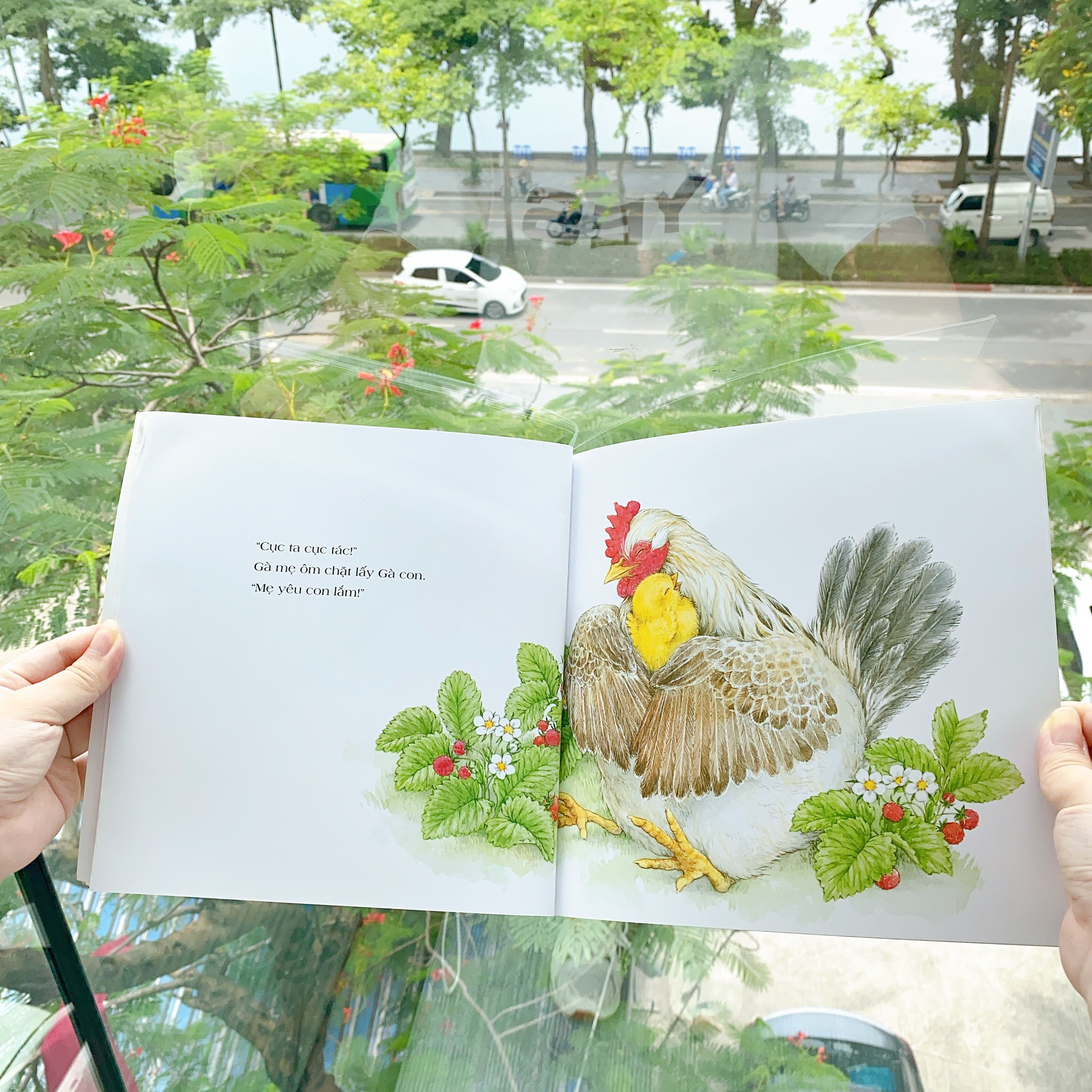 Sách Ehon Nhật Bản cho bé 0-2 tuổi - Combo em bé biết yêu thương