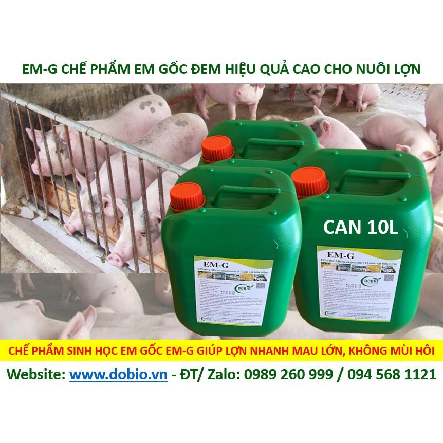 EM Gốc Can 10 lít, Chế Phẩm Vi Sinh EM Gốc, EM1, Địa Chỉ Cung Cấp Mua Bán Chế Phẩm Vi Sinh EM Gốc