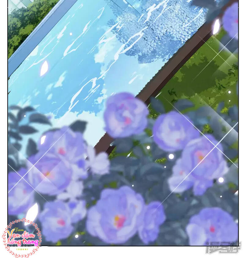 cô ấy đến rồi, xin nằm xuống! chapter 178 19