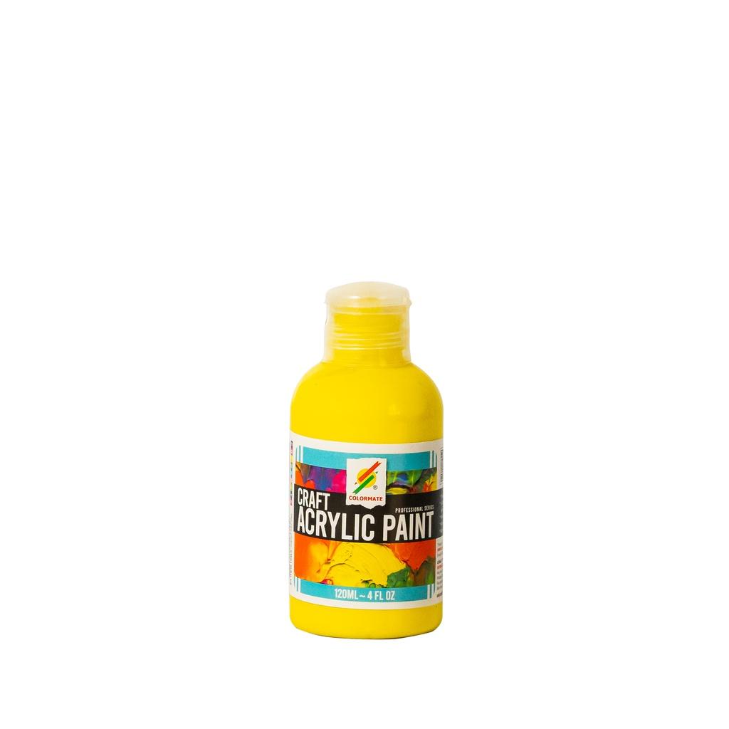 Màu vẽ Craft ACRYLIC chai 120ml - COLORMATE