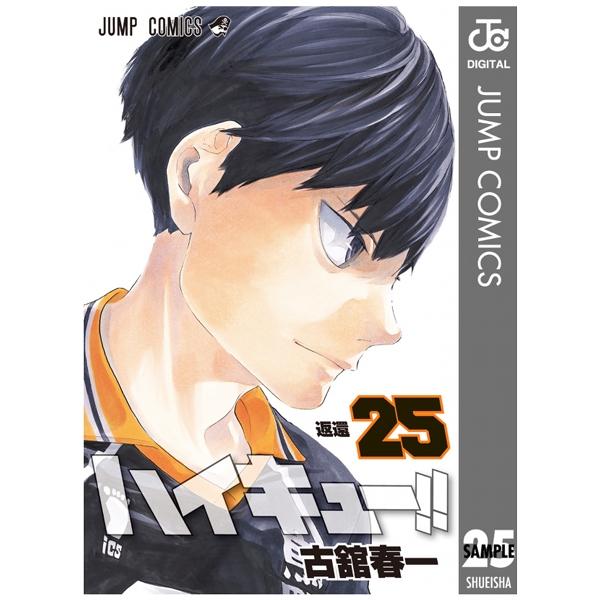 ハイキュー！！　　２５ HAIKYUU 25