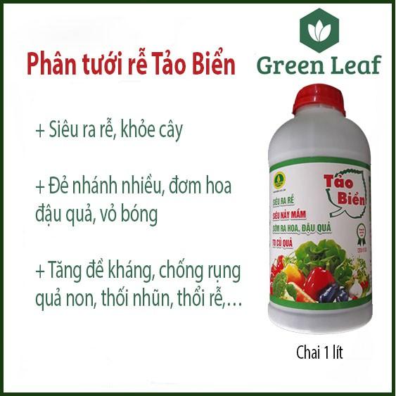 Phân tưới rễ Tảo Biển ra rễ, nảy mầm, sớm ra hoa đậu quả, to củ quả