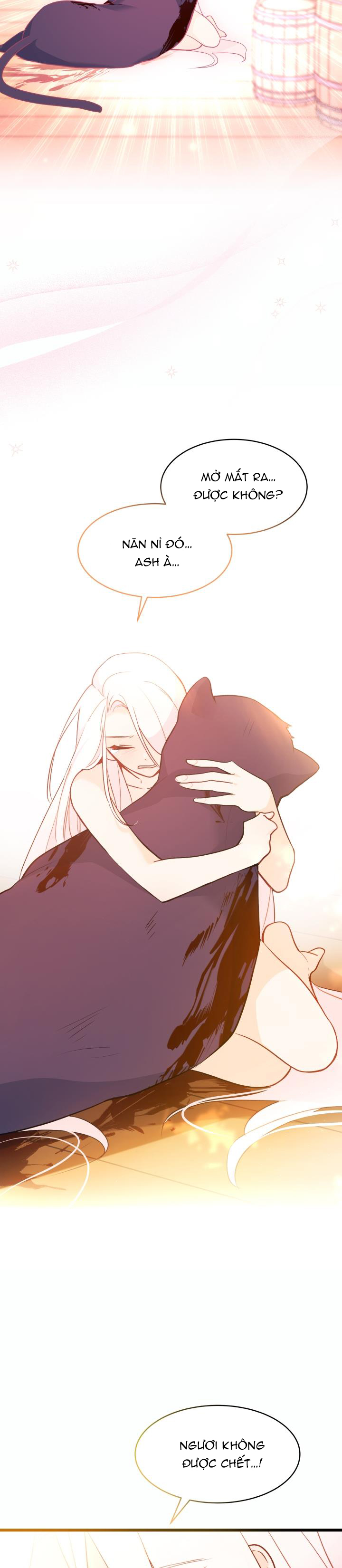 mối liên kết giữa báo đen và bé thỏ chapter 28 36